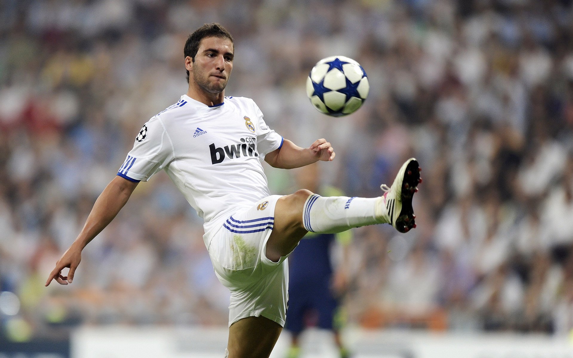 体育新闻中心协办体育产业发展新趋势研讨会，体育行业新闻